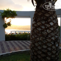 фото из отзыва ID 2566646