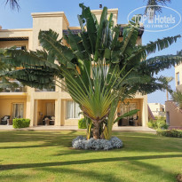 фото из отзыва ID 2566653