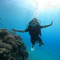 фото из отзыва ID 2566799