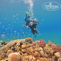 фото из отзыва ID 2566799