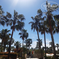 фото из отзыва ID 2566850