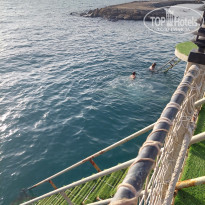 фото из отзыва ID 2567052