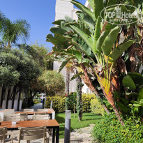 фото из отзыва ID 2567076