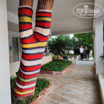 фото из отзыва ID 2567076