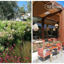 фото из отзыва ID 2567033