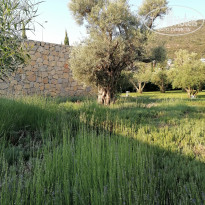 фото из отзыва ID 2567033