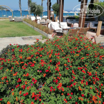 фото из отзыва ID 2567033