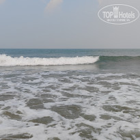 фото из отзыва ID 2567126