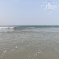 фото из отзыва ID 2567126