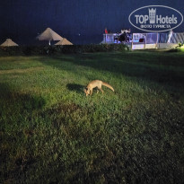 фото из отзыва ID 2567146