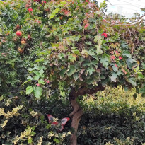 фото из отзыва ID 2567076