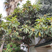 фото из отзыва ID 2567076