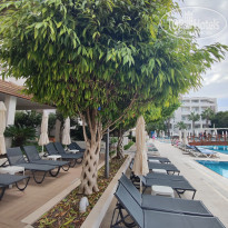 фото из отзыва ID 2567076