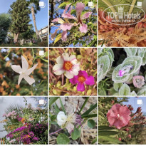 фото из отзыва ID 2567076