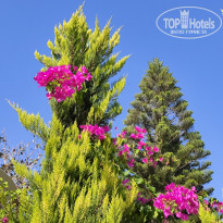 фото из отзыва ID 2567076