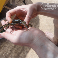 фото из отзыва ID 2567206