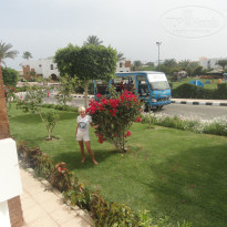 фото из отзыва ID 2567206