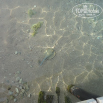 фото из отзыва ID 2567206