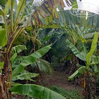 фото из отзыва ID 2567262