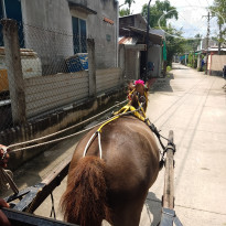 фото из отзыва ID 2567262