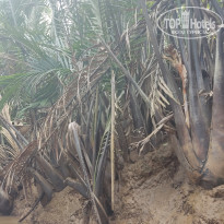 фото из отзыва ID 2567262