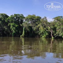 фото из отзыва ID 2567294