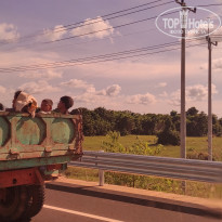 фото из отзыва ID 2567294