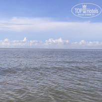 фото из отзыва ID 2567294