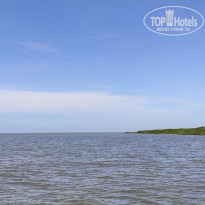 фото из отзыва ID 2567294