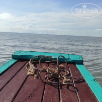 фото из отзыва ID 2567294