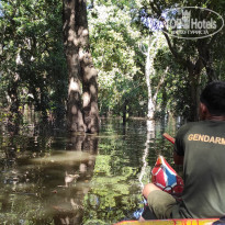 фото из отзыва ID 2567294