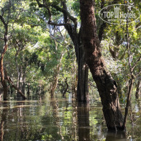 фото из отзыва ID 2567294