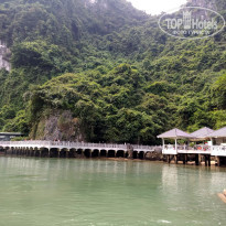 фото из отзыва ID 2567301