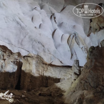 фото из отзыва ID 2567301