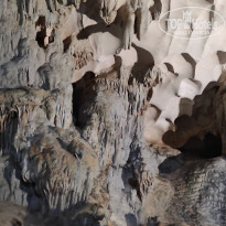 фото из отзыва ID 2567301