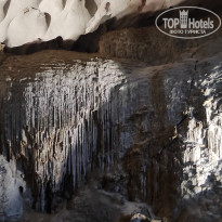 фото из отзыва ID 2567301