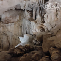 фото из отзыва ID 2567301