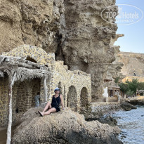 фото из отзыва ID 2567349