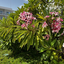 фото из отзыва ID 2567394