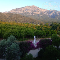 фото из отзыва ID 2567448