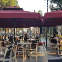 фото из отзыва ID 2567522