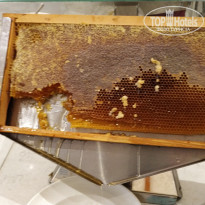 фото из отзыва ID 2567527