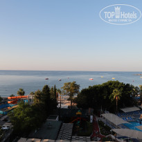 фото из отзыва ID 2567588