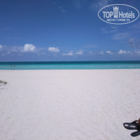 фото из отзыва ID 2567629