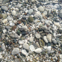 фото из отзыва ID 2567599