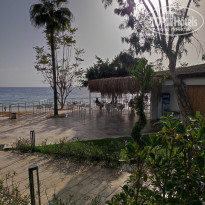 фото из отзыва ID 2567649