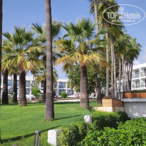 фото из отзыва ID 2567649