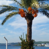 фото из отзыва ID 2567527