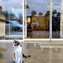 фото из отзыва ID 2567527