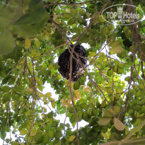 фото из отзыва ID 2567692